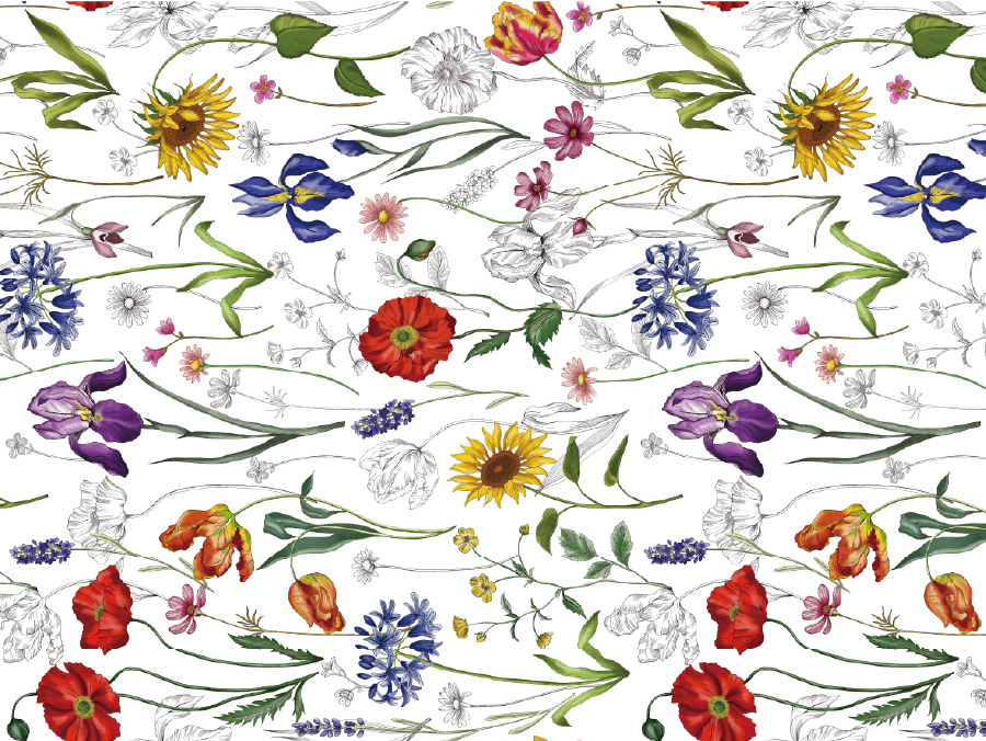 mt casa 厚口 Liberty Meadow Muse