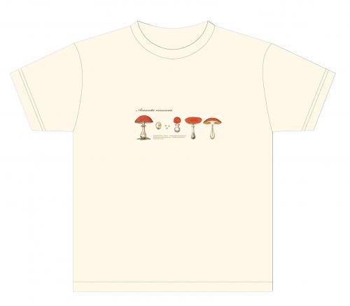 ポイントと引き換えられる在庫が無い商品の画像