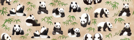 mtstore上海 パンダ